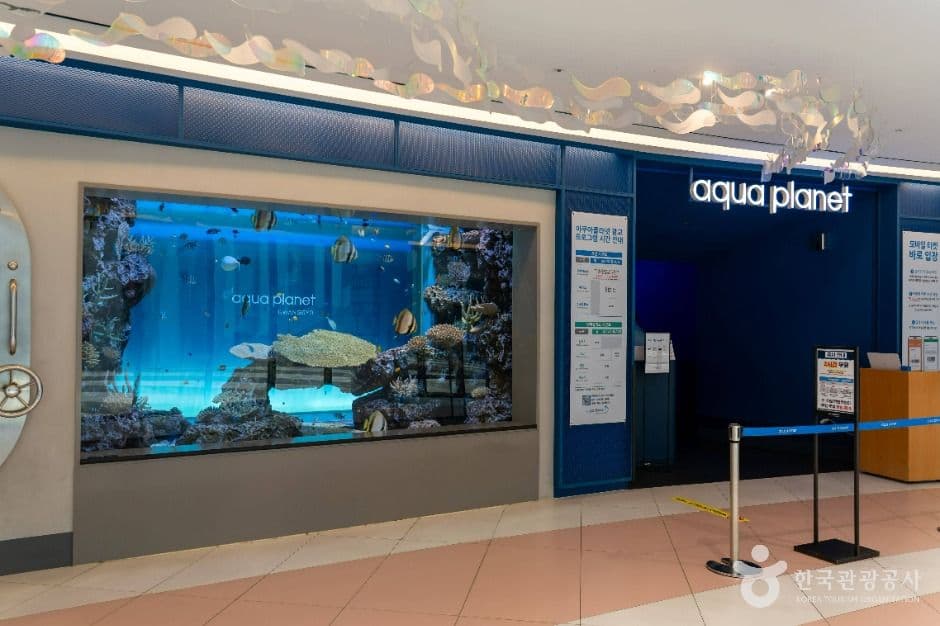 Aqua Planet Gwanggyo, a family-friendly place