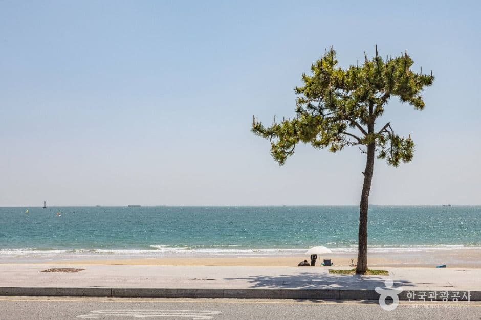 Songjeong Beach Busan, an outdoor family place, in Busan
