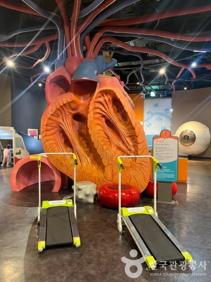 Gyeonggi Children's Museum — family-friendly place in Gyeonggi, Korea