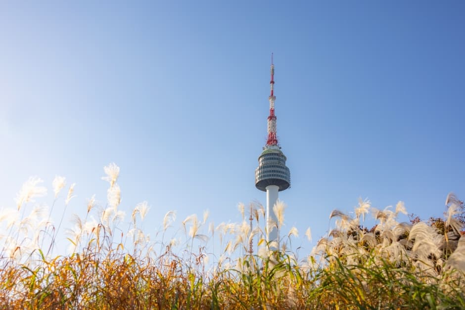N Seoul Tower, a family-friendly place, good for rainy days, in Yongsan-gu