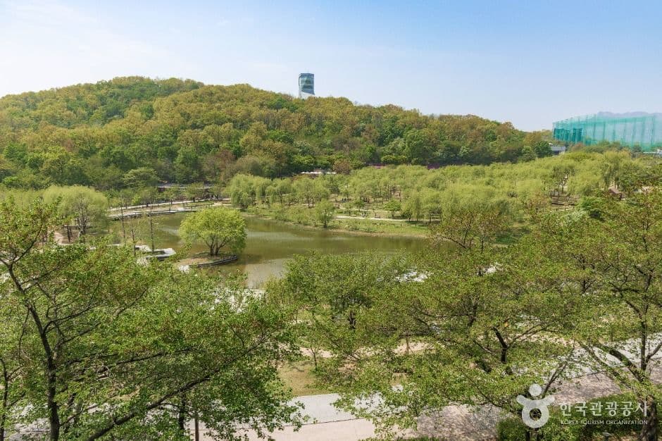 Dream Forest, a family-friendly place, stroller-friendly, in Seoul