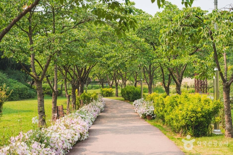 Yongsan Family Park, an outdoor family place, stroller-friendly, in Seoul
