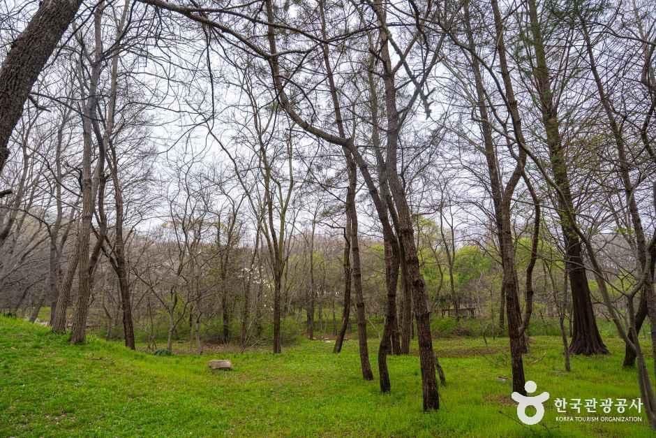 Incheon Grand Park, a family-friendly park in Incheon