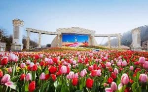 Everland, a family-friendly place, good for rainy days, in Yongin-si