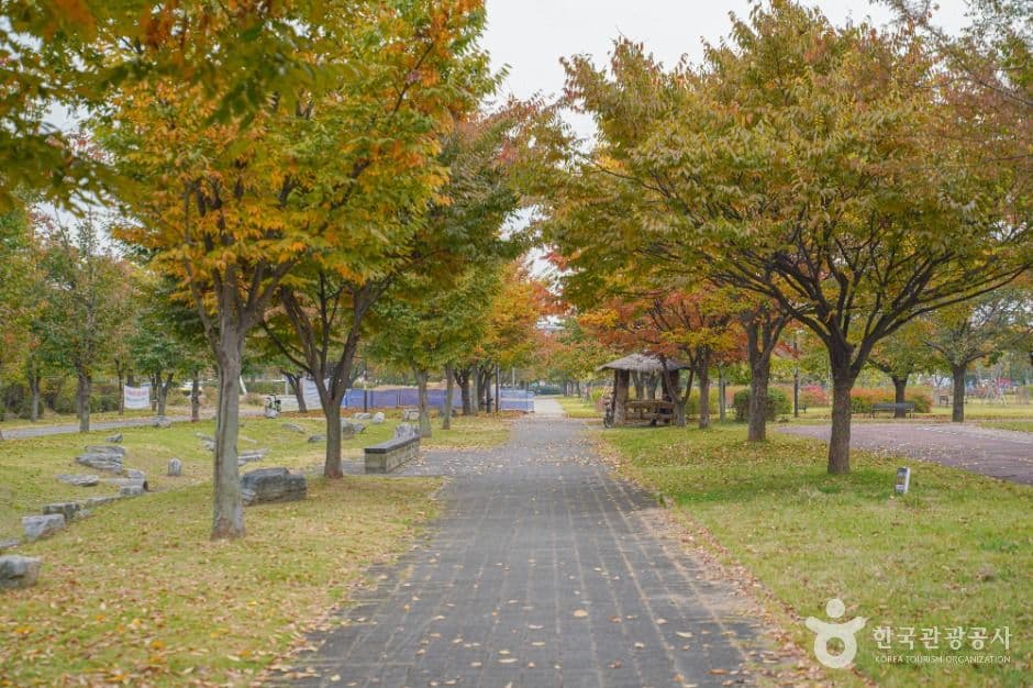 Nanji Hangang Park — family-friendly place in Seoul, Korea