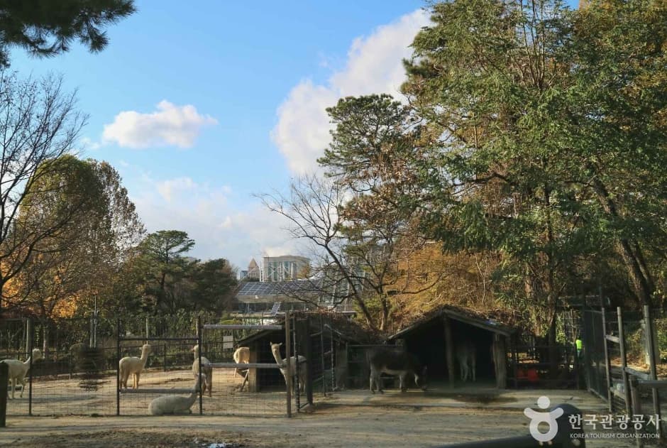 Seoul Children's Grand Park — family-friendly place in Seoul, Korea
