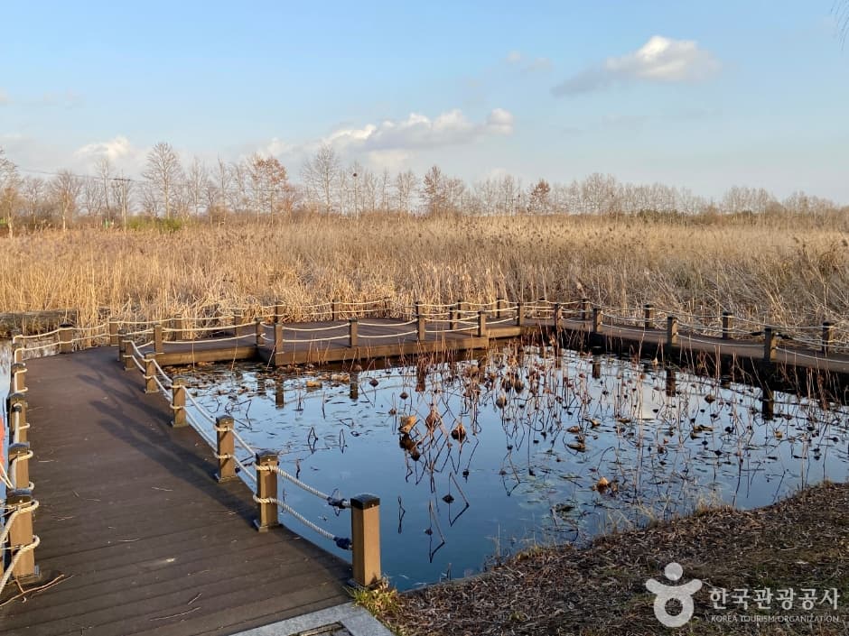 Ansan Reed Marsh Park — family-friendly place in Gyeonggi, Korea