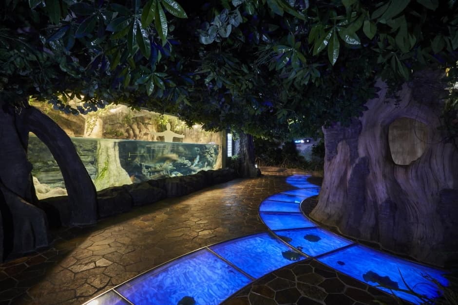 Aqua Planet Jeju, a family-friendly place