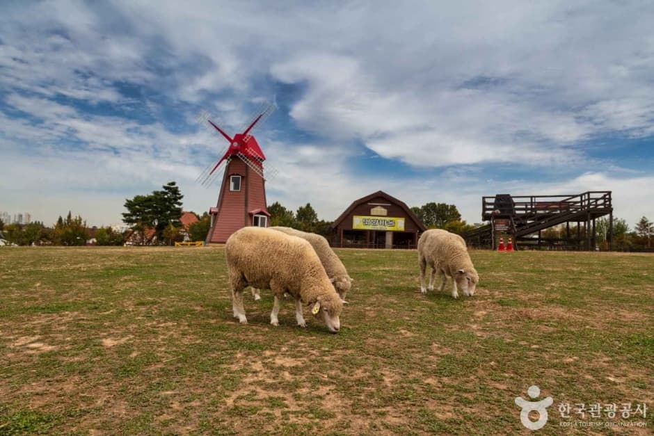 Anseong Farmland, an outdoor family place, in Anseong-si
