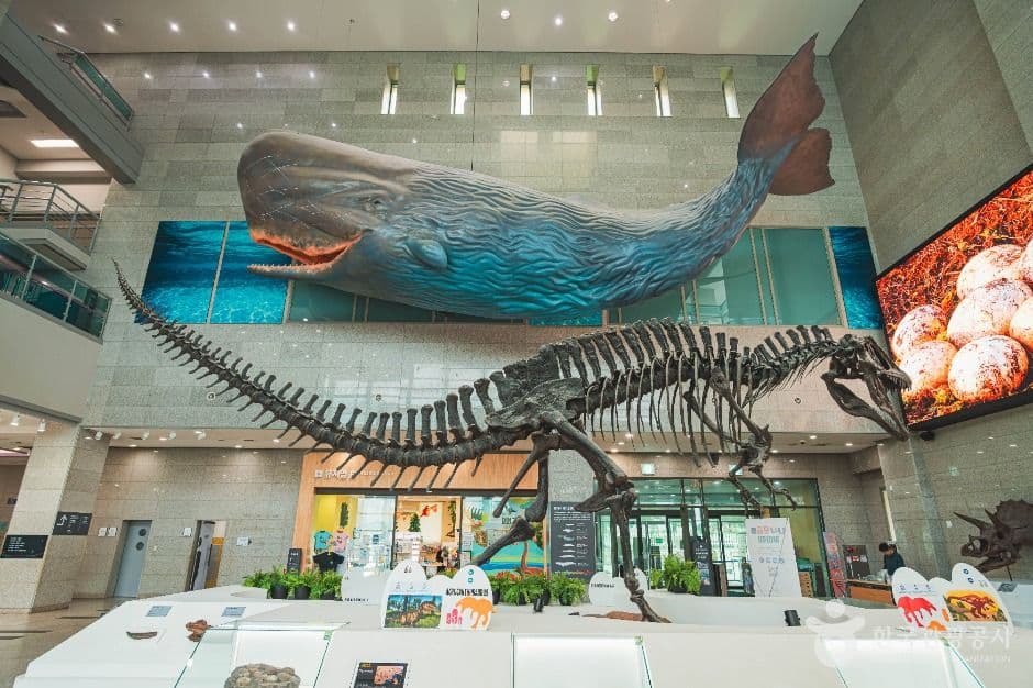 Seodaemun Museum of Natural History, a family-friendly place