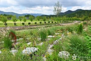 Haeundae Arboretum, an outdoor family place, stroller-friendly, in Busan