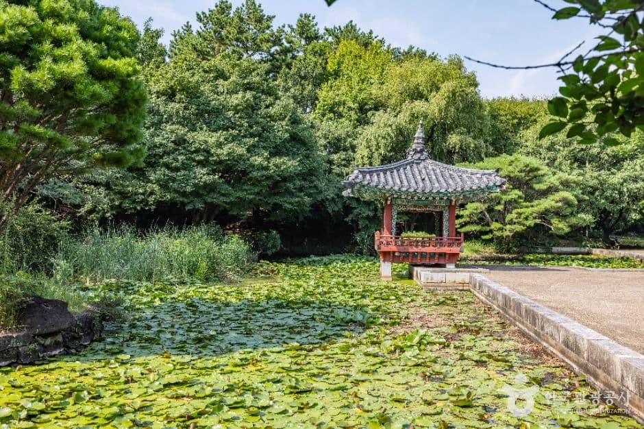 Yeomiji Botanical Garden, a kid-friendly indoor spot, good for rainy days, stroller-friendly, in Seogwipo-si