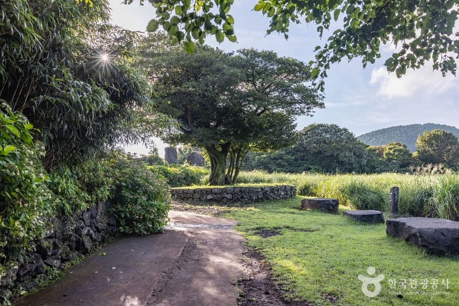 Jeju Stone Park, a family-friendly place