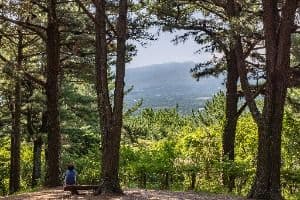 Halla Arboretum, an outdoor family place, stroller-friendly, in Jeju-si