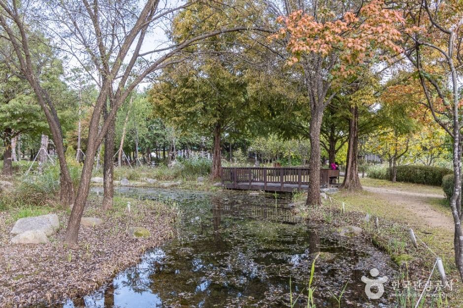 Seoul Iris Garden, a family-friendly nature area in Seoul