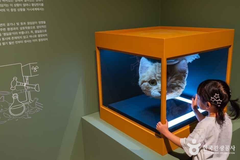 National Science Museum (Gwacheon), a family-friendly place, good for rainy days, stroller-friendly, in Gwacheon