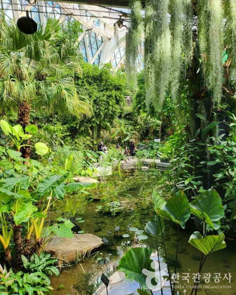 Seoul Botanic Park — family-friendly place in Seoul, Korea