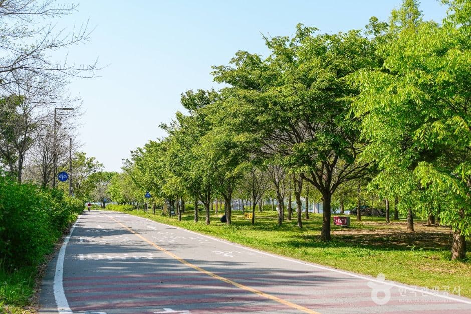 Yeouido Hangang Park — family-friendly place in Seoul, Korea