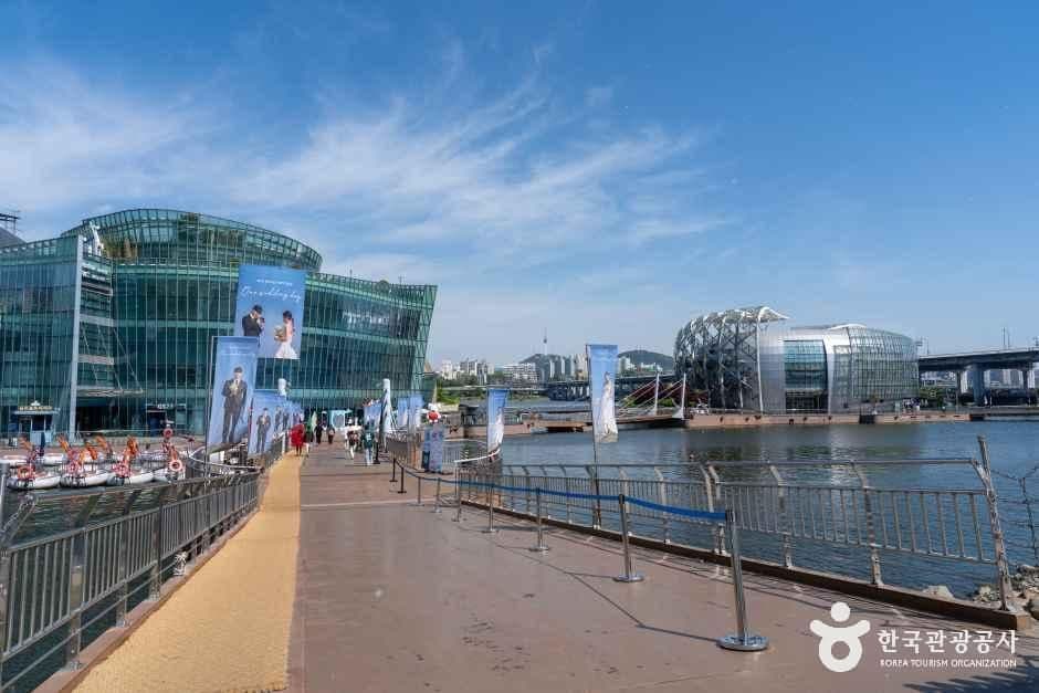 Banpo Hangang Park — family-friendly place in Seoul, Korea