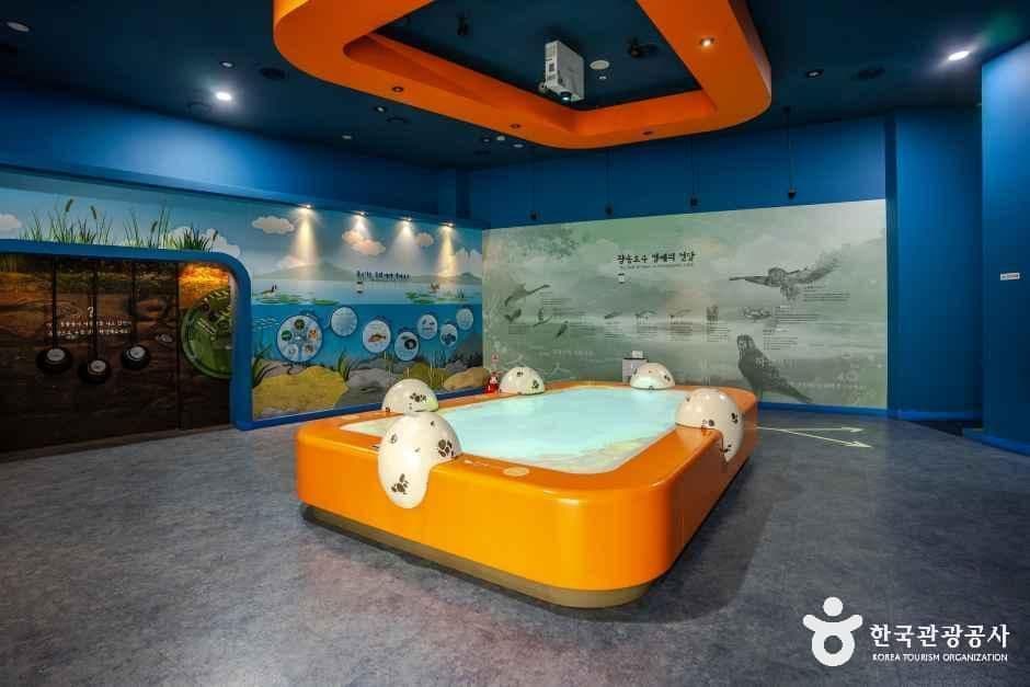 Uiwang Bird Ecology Science Museum, a family-friendly place, good for rainy days, in Uiwang-si
