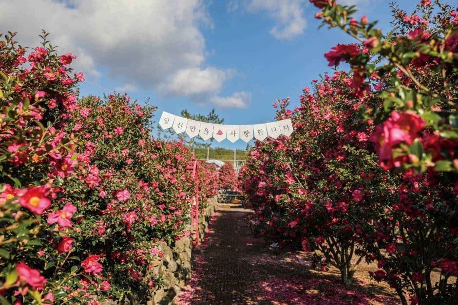Hueree Nature Park, an outdoor family place, stroller-friendly, in Seogwipo-si