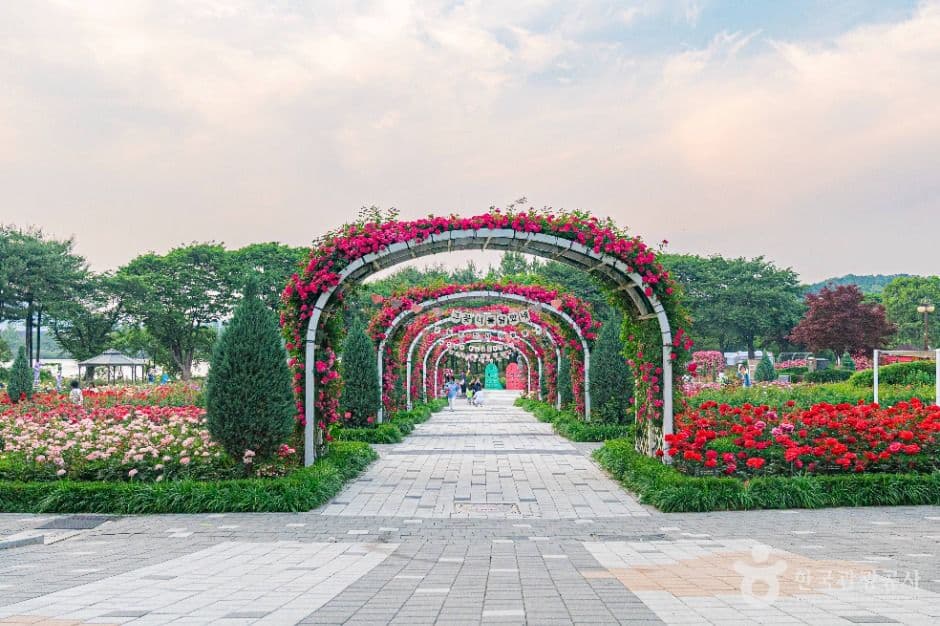 Seoul Grand Park Theme Garden — family-friendly place in Gyeonggi, Korea
