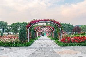 Seoul Grand Park Zoo, an outdoor family place, in Gwacheon-si