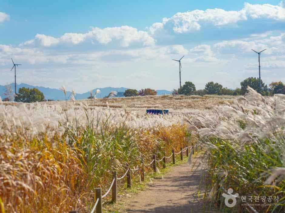 Haneul Park — family-friendly place in Seoul, Korea