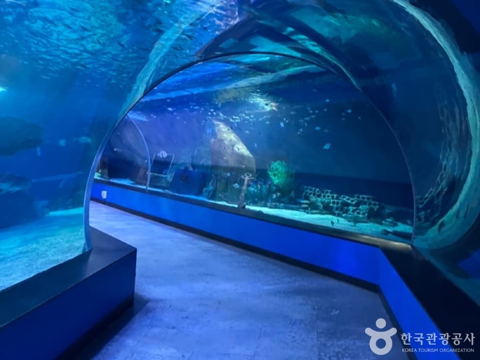 SEA LIFE Busan Aquarium, a family-friendly place