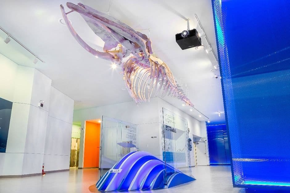 Fisheries Science Museum Busan, a family-friendly place