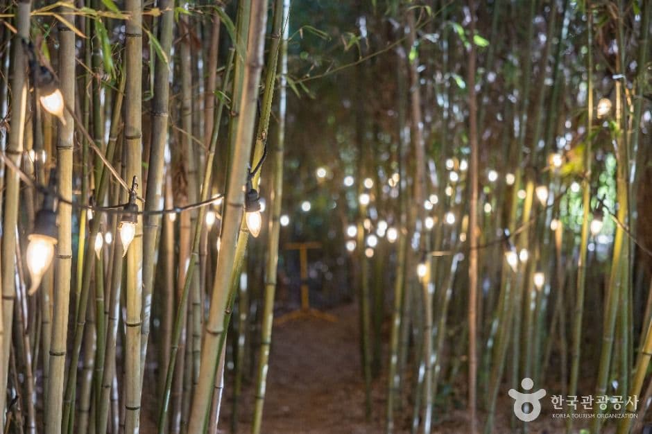 Kimnyoung Maze Park, a family-friendly place