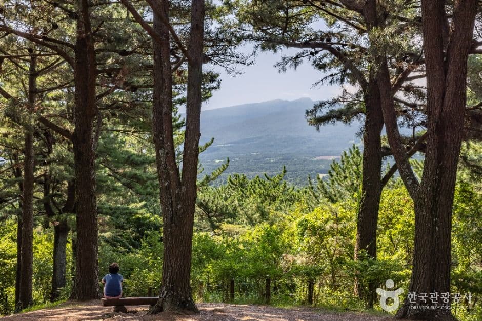 Halla Arboretum, a family-friendly place